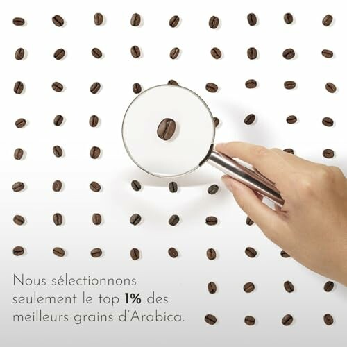 Main tenant une loupe sur un grain de café Arabica.
