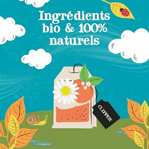 Ingrédients biologiques et naturels avec un sachet de thé.