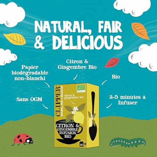 Infusion Bio Clipper Citron & Gingembre