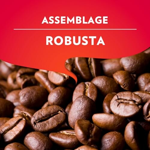 Grains de café robusta.