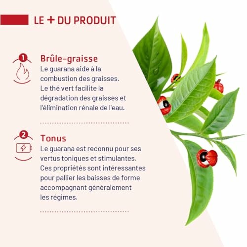 Les bienfaits du guarana et du thé vert sur la combustion des graisses et le tonus.