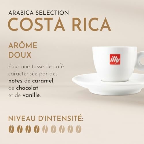 Café Illy Arabica Selection Costa Rica