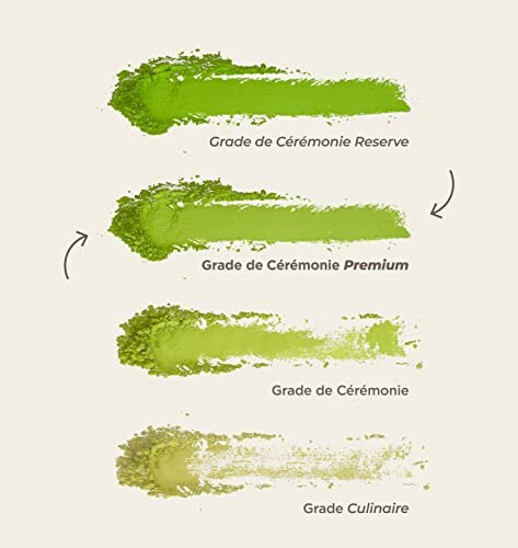 Différents grades de poudre de matcha sur fond beige.