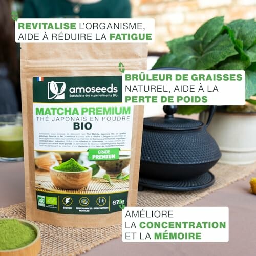 Thé Matcha Bio Japonais