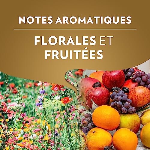 Mélange de fleurs et de fruits colorés