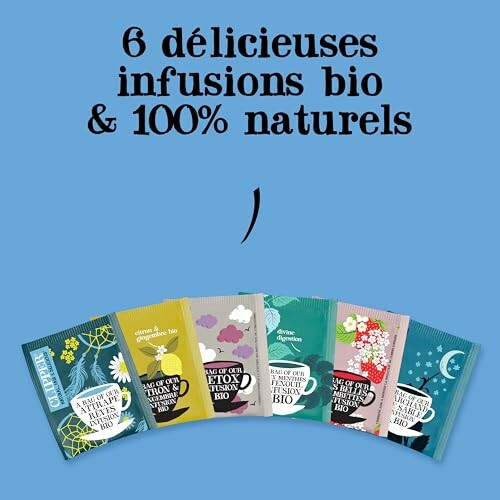 Six sachets de thés bio et naturels sur fond bleu.