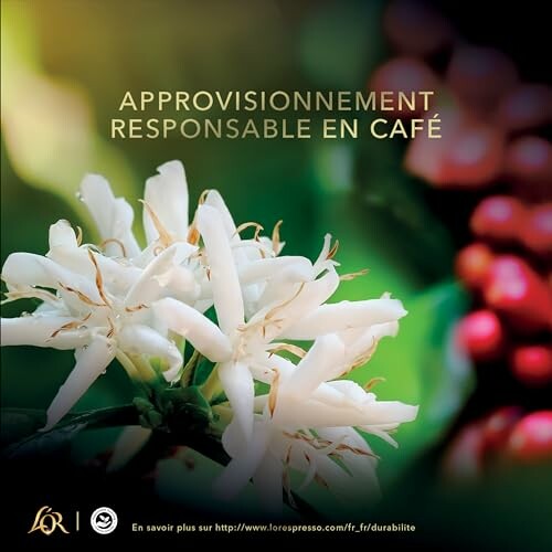 Fleurs de café avec texte sur l'approvisionnement responsable.